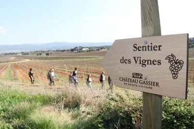 quotSentier-des-vignesquot-Decouverte-de-la-biodiversite-sur-le-domaine-viticole-Chateau-Gassier-8211-Puyloubier_2659228