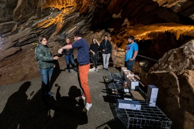 quotVIGNOBLES-EN-SCENEquot-8211-DU-VIN-ET-DES-STALACTITES-8211-18-10-2025-8211-Courniou_2990070