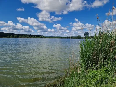 tang-de-Perroi-8211-Hermeville-en-Woevre_2598387