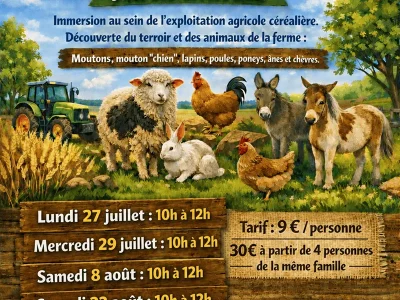 te-a-la-ferme-et-Visite-de-la-ferme-pedagogique-8211-Morville-sur-Seille_3718112