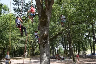 te-actif-Grimpe-d039arbres-8211-26-07-2025-8211-Lavaur_2670848