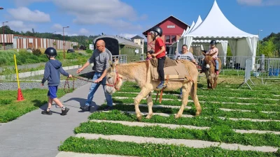 te-actif-balade-a-dos-d039anes-8211-23-07-2025-8211-Saint-Amand-de-Vergt_2985016
