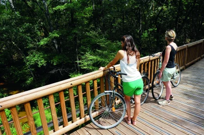velo-au-Pays-dAlienor-8211-22-10-2026-8211-Belin-Beliet_3759255
