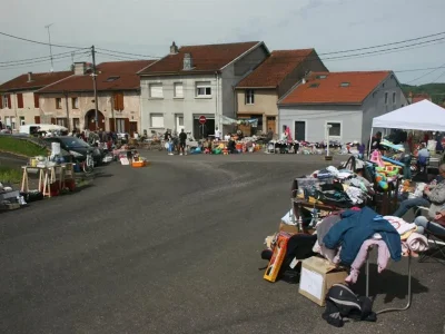 vide-grenier-et-bourse-aux-plantes-8211-07-06-2026-8211-Virecourt_3607264